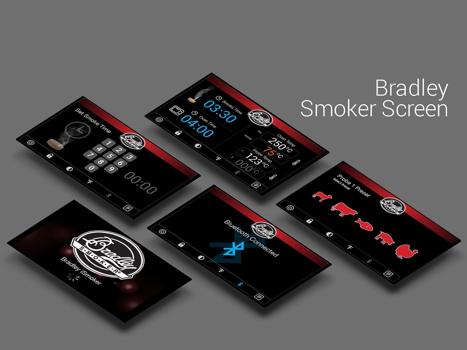 Bradley Digital Smoker touch screen User Interface